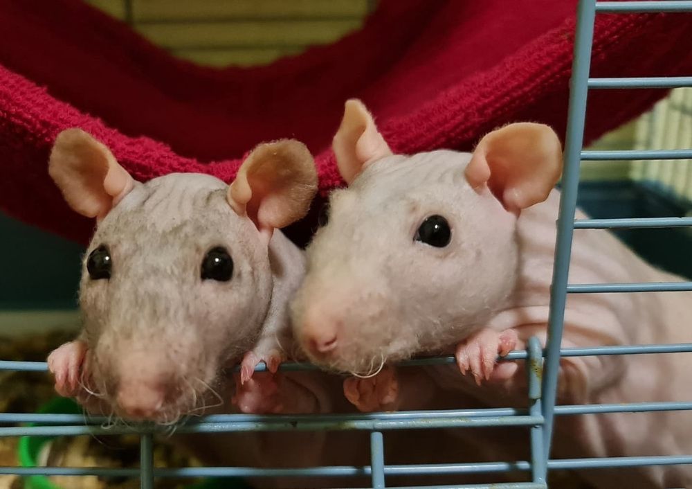 Photograph by Natasha Kim