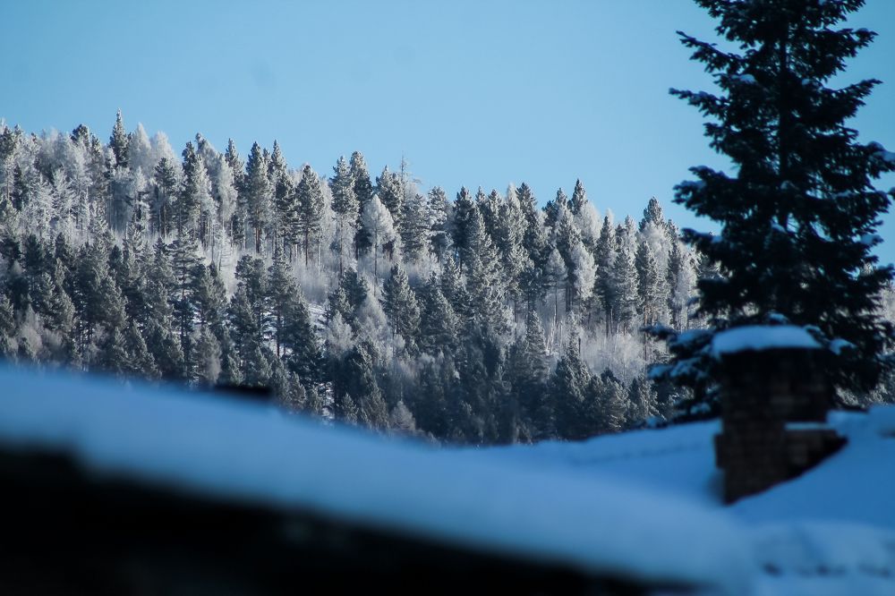 Photograph by Анна Рогачева