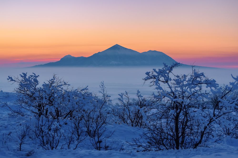 Фотография автора Zakharov Armen