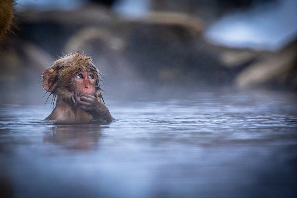 Photograph by Vita Potomova