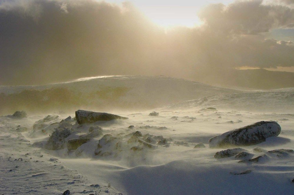 Photograph by JOSE LIMA RODRIGUES