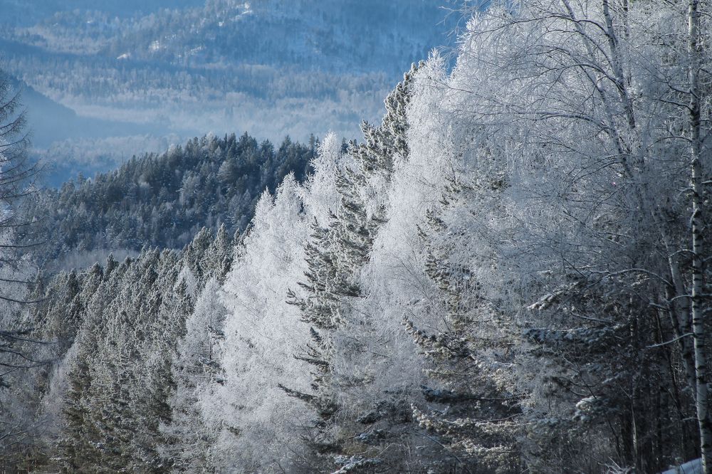 Photograph by Анна Рогачева