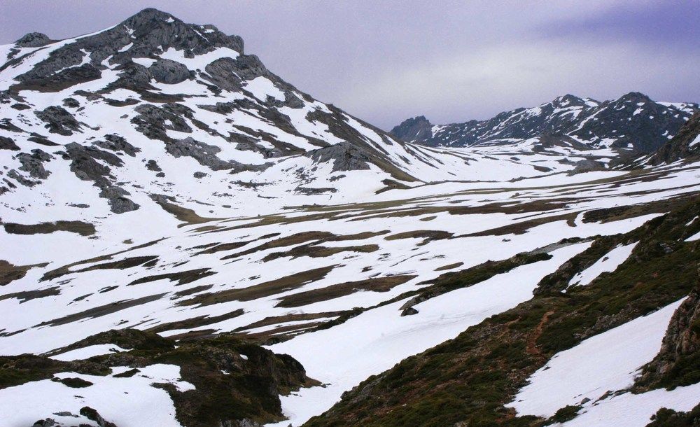 Photograph by JOSE LIMA RODRIGUES