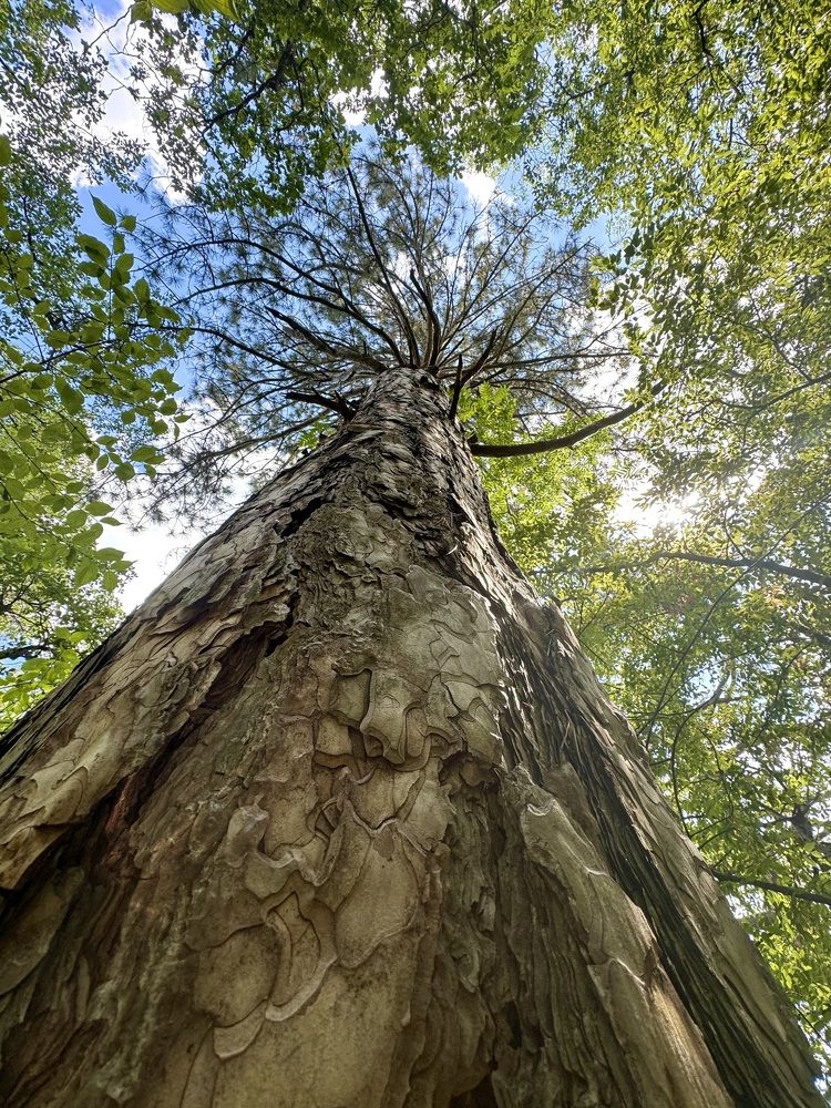 Photograph by Оксана Пахомова