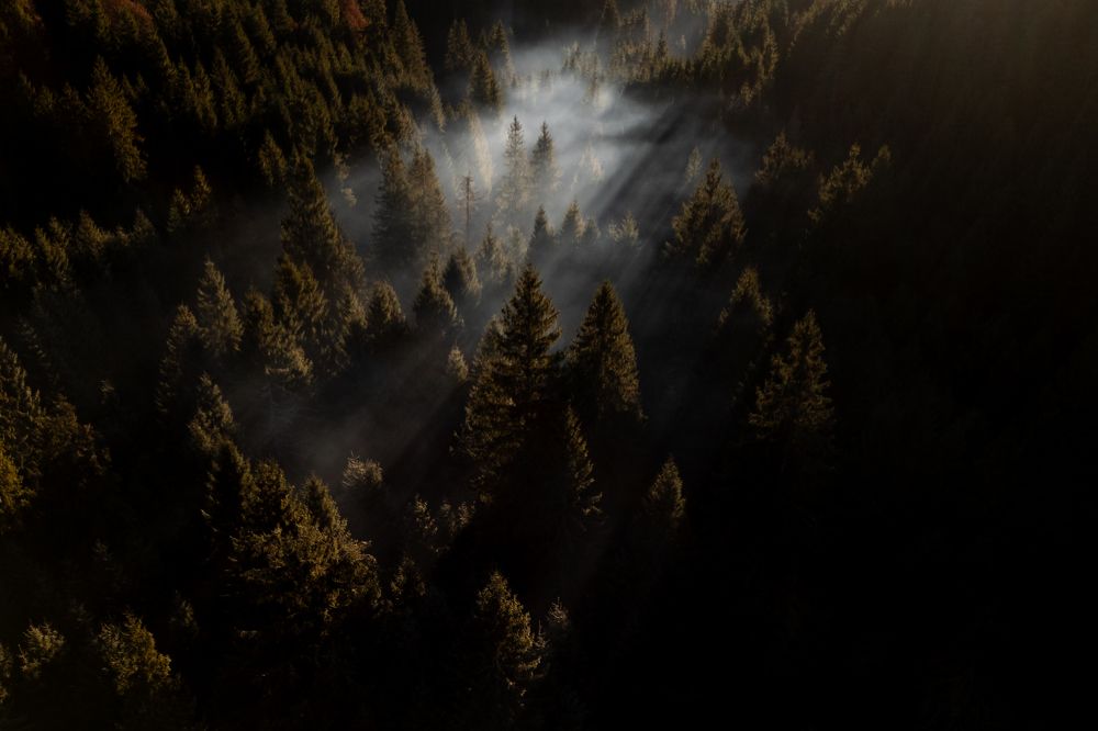 Photograph by George Alexandru Ghiuro