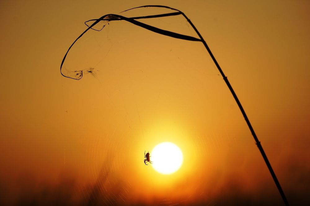 Photograph by Валерий