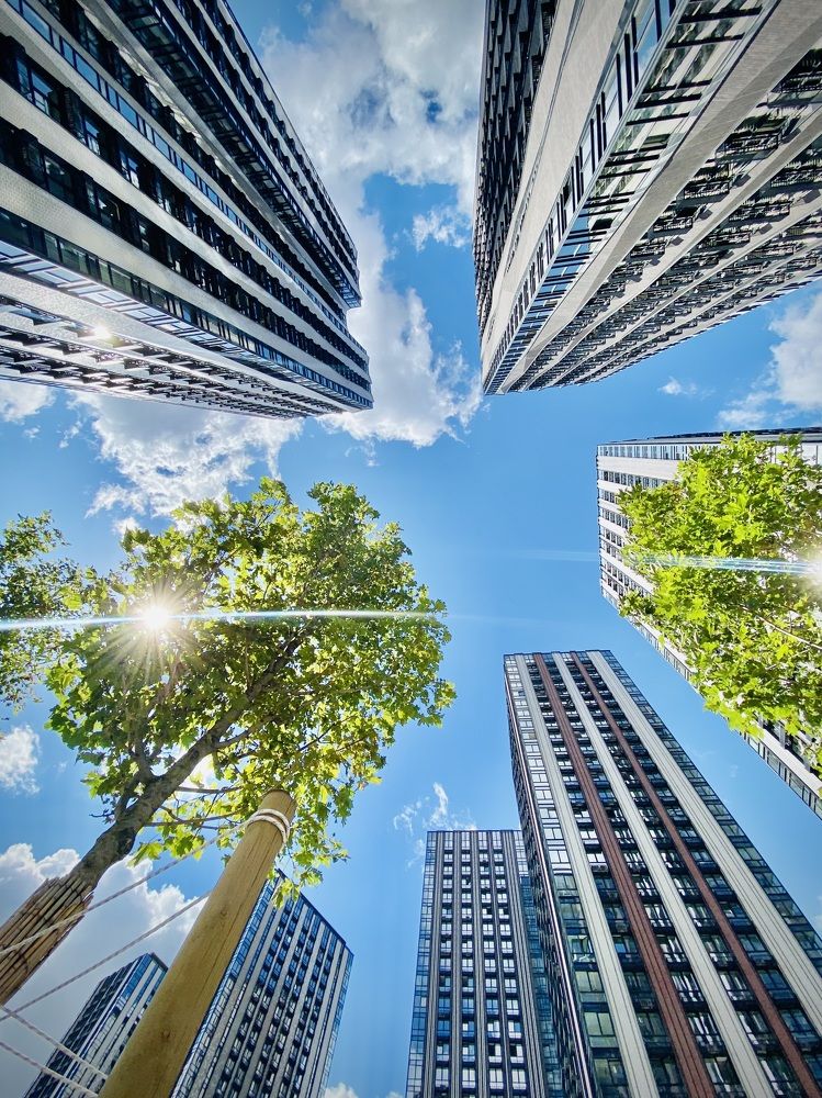 Photograph by Иованна Решетова