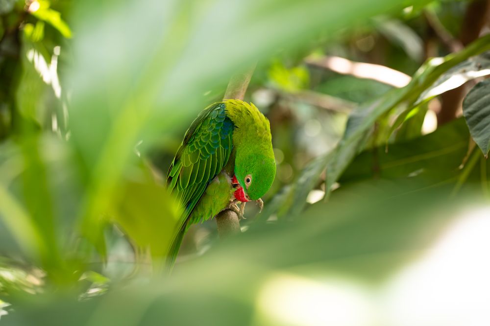 Фотография автора Мария Сурмачева