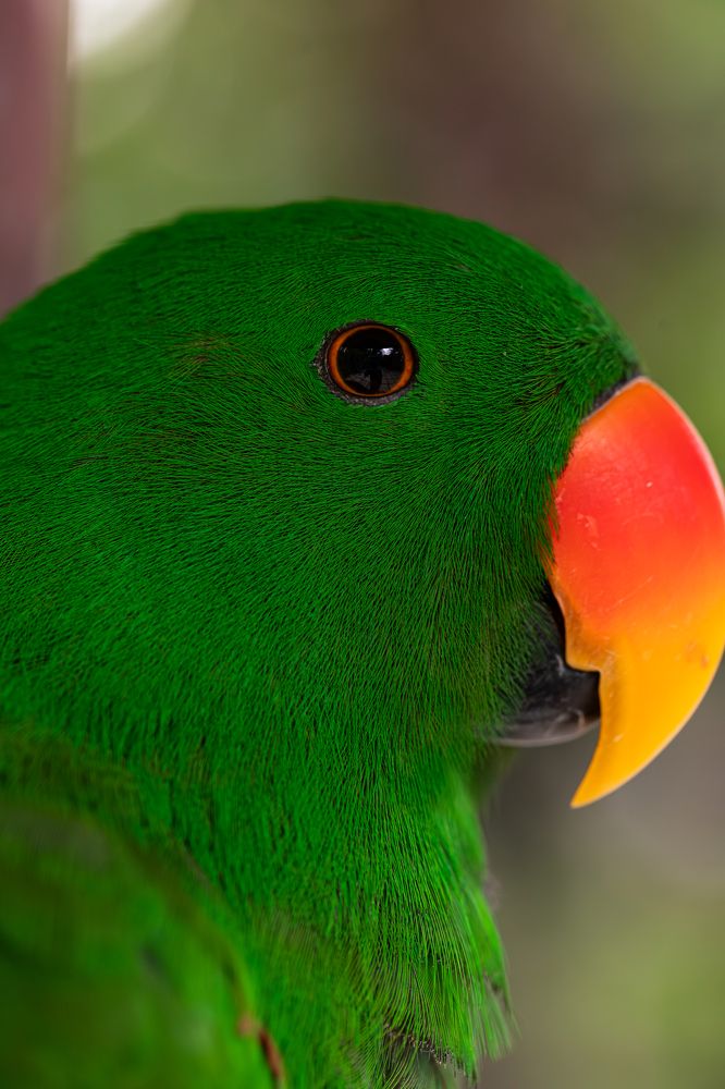 Фотография автора Мария Сурмачева