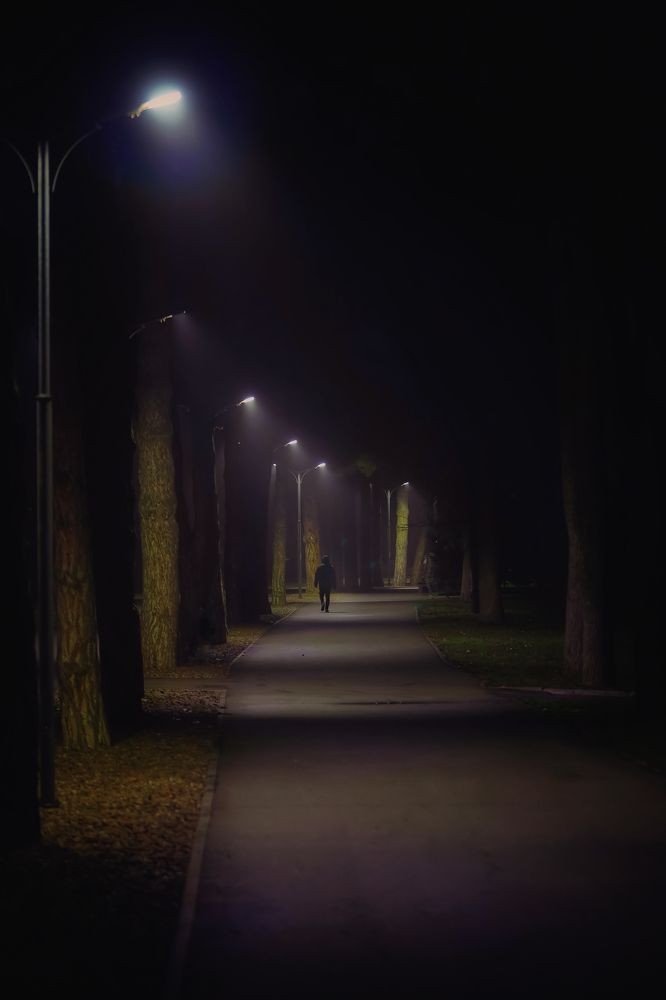 Photograph by Владимир Кульбит