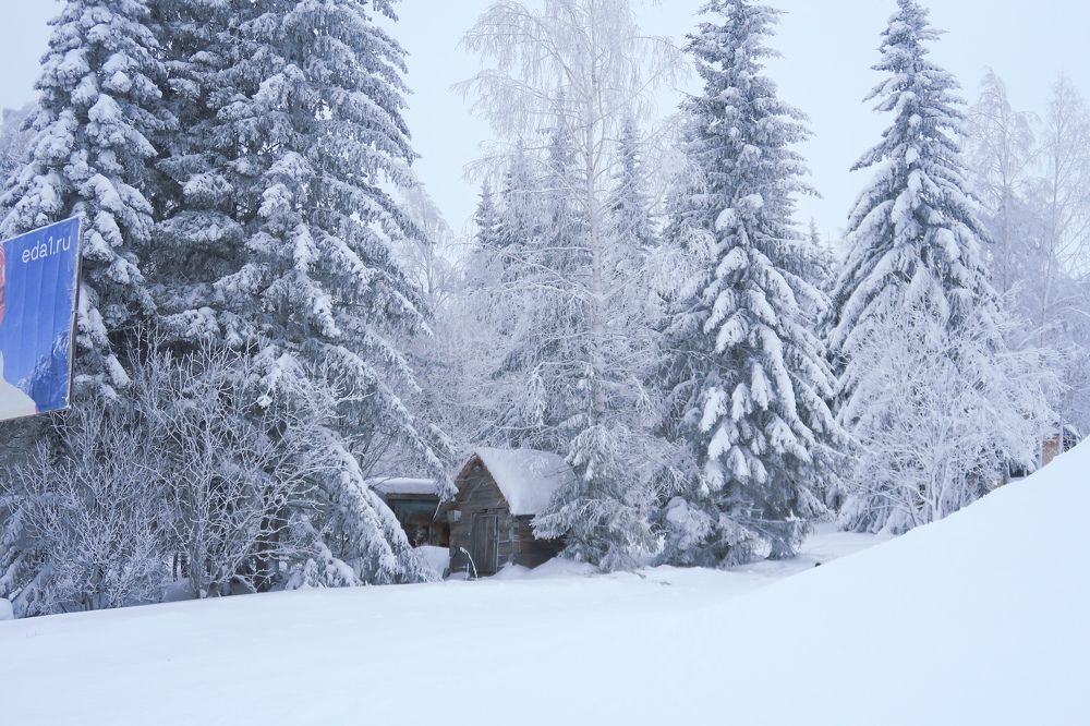 Photograph by Орл Про