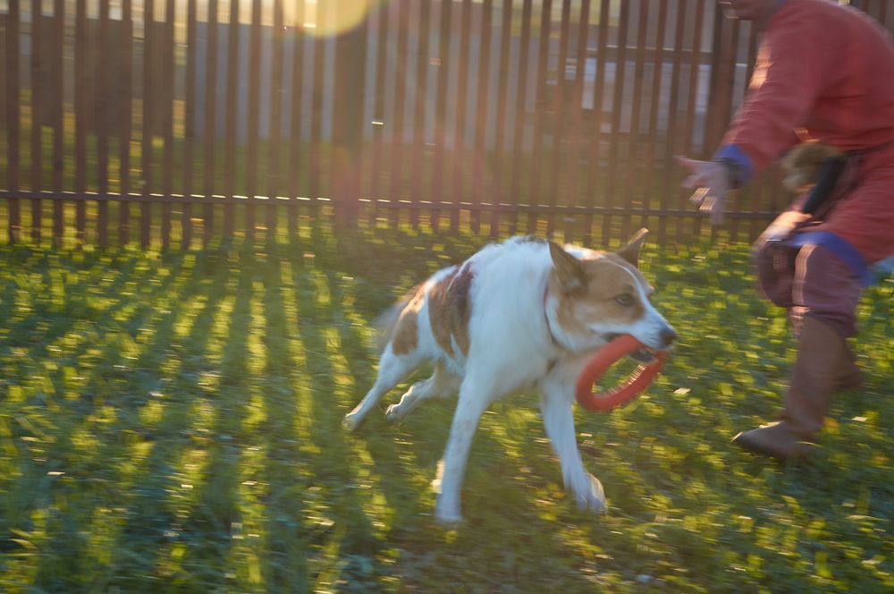 Photograph by Маргарита Гасец