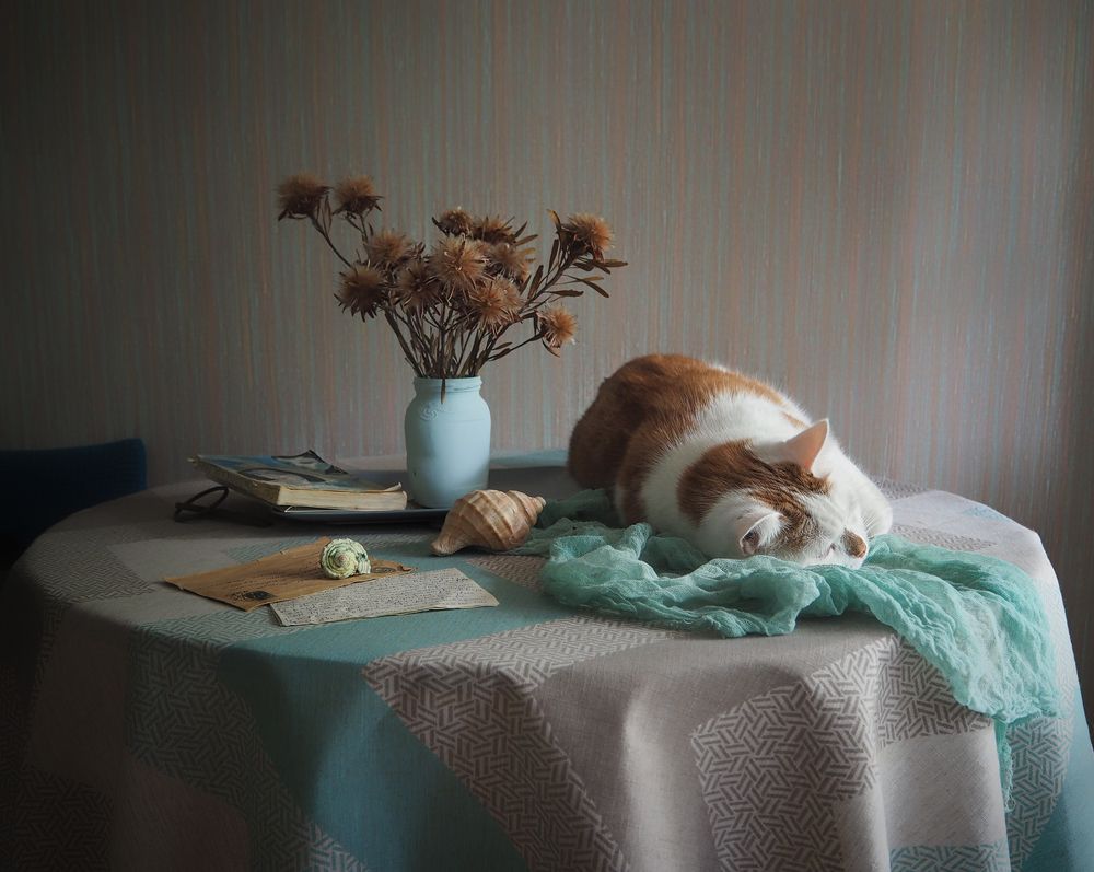 Photograph by Ольга Еремеева