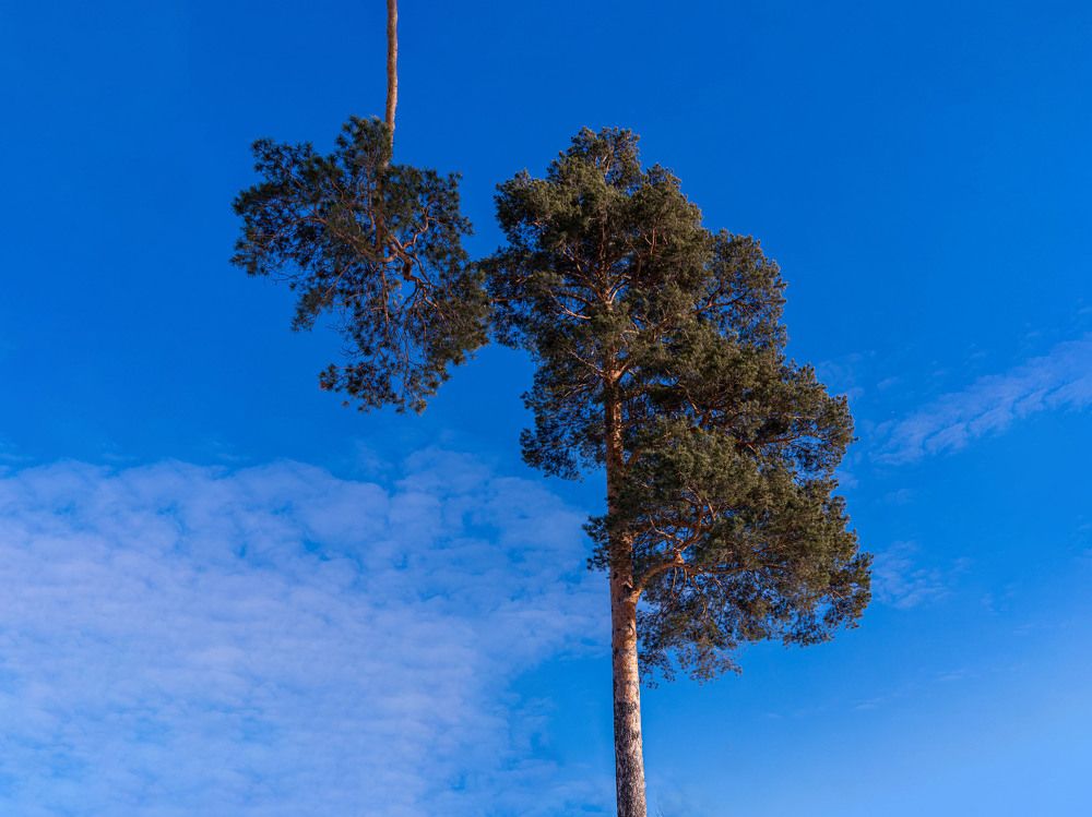 Photograph by Анастасия Глазюк