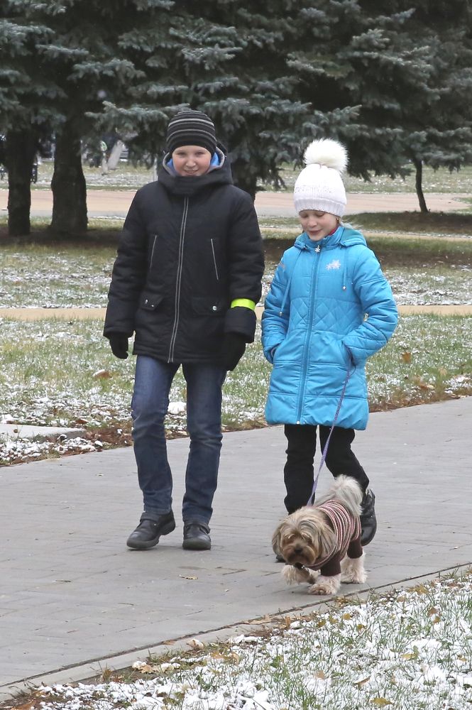 Фотография автора Николай Семенец