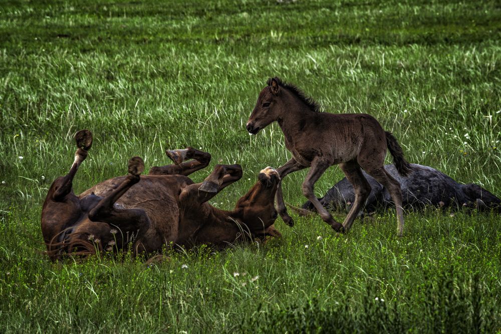 Фотография автора Андрей Жданов