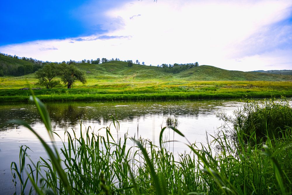 Photograph by Валентина Воробьёва