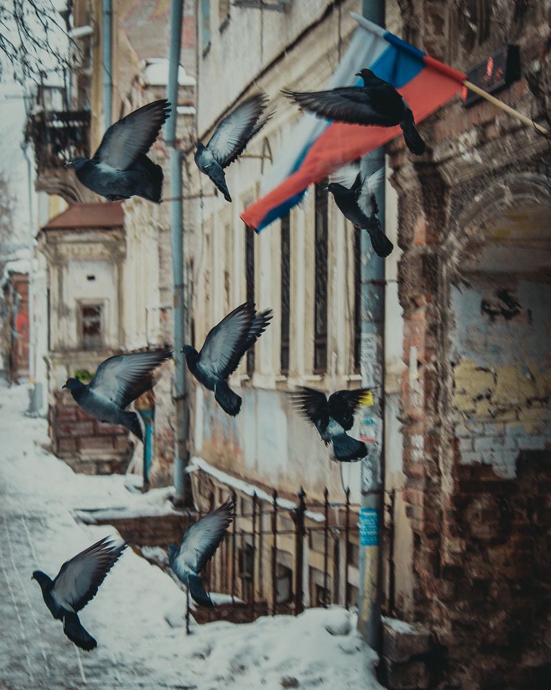 Photograph by Tatiana Shtun