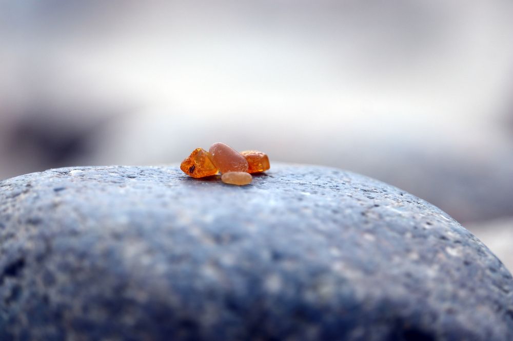 Фотография автора Воронина Татьяна