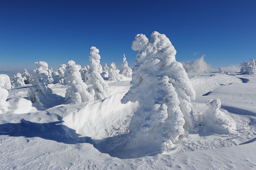 Photograph by Сергей Сережников