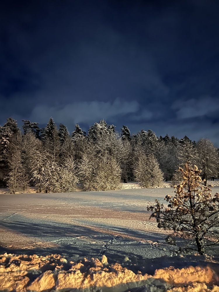 Photograph by Анастасия Германова
