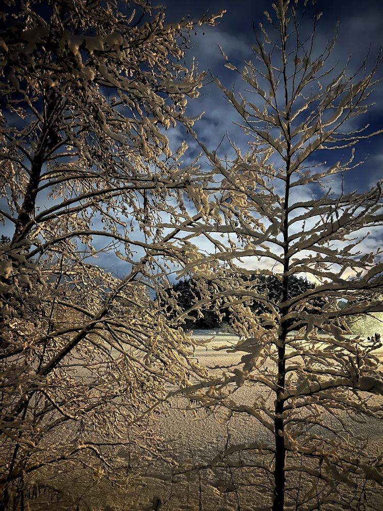 Photograph by Анастасия Германова