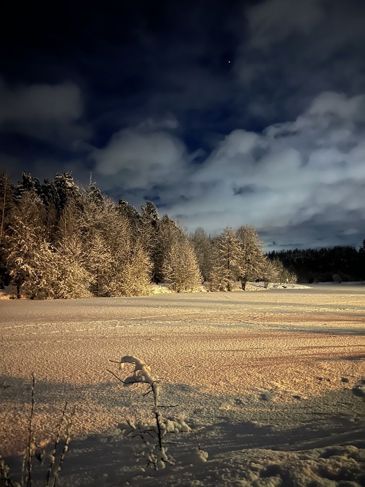 Photograph by Анастасия Германова