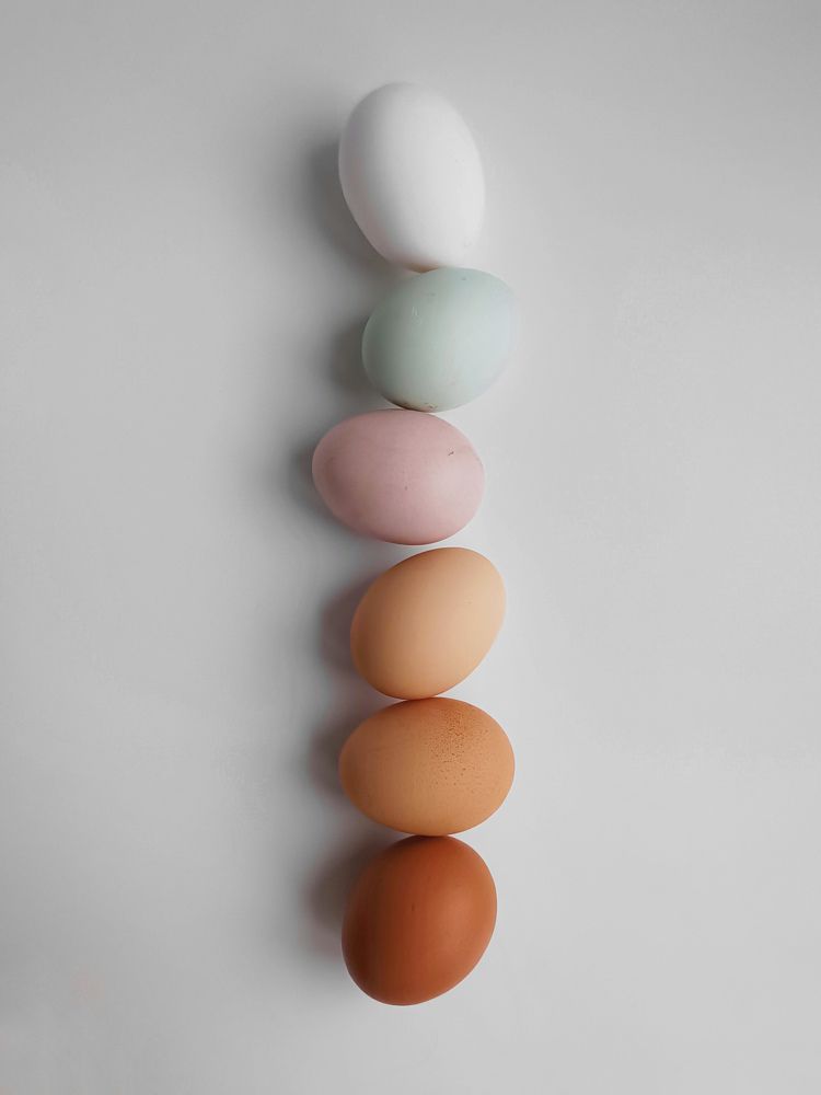 Фотография автора Ирина Романовская