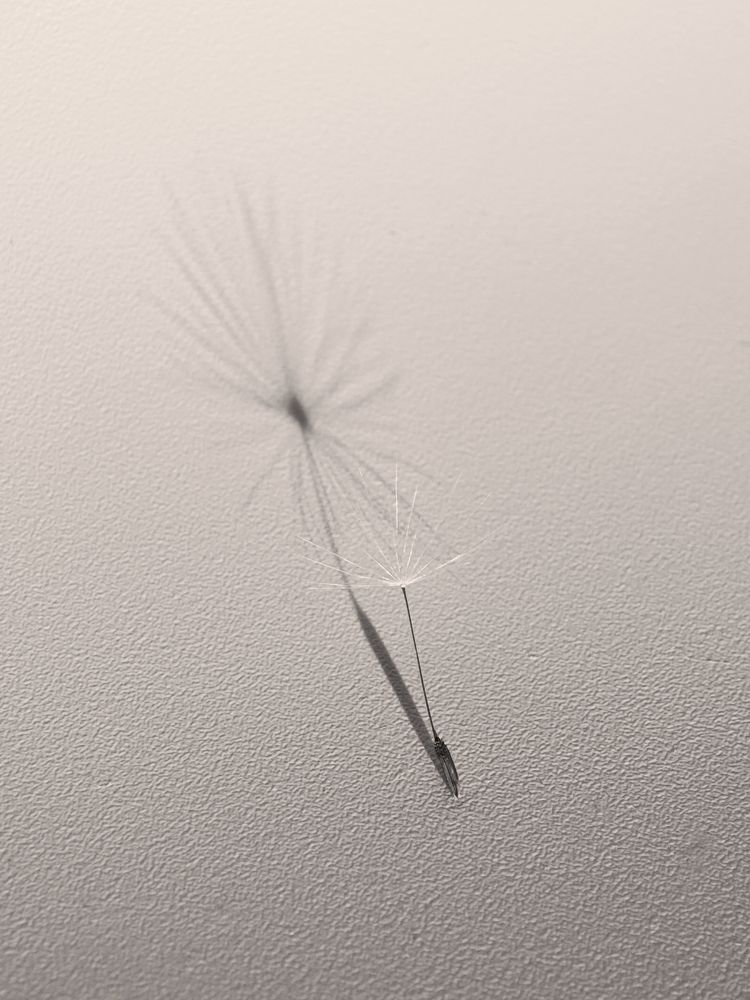 Photograph by Надежда Кангина