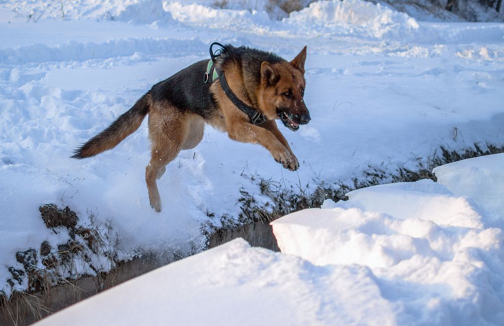 Photograph by Светлана Мельник