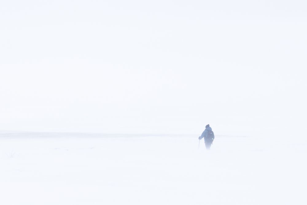 Photograph by Дмитрий Катаругин