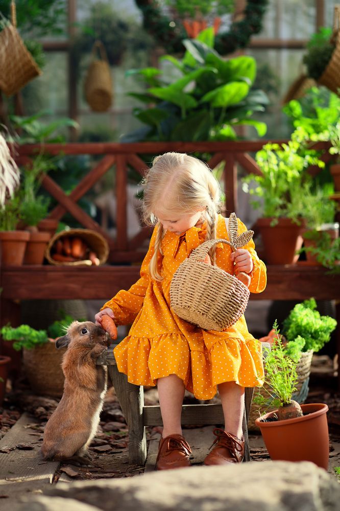 В гостях у кролика