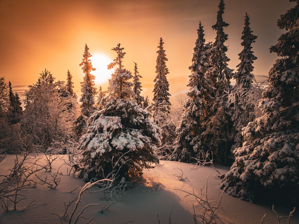 Photograph by Дмитрий Геращенко