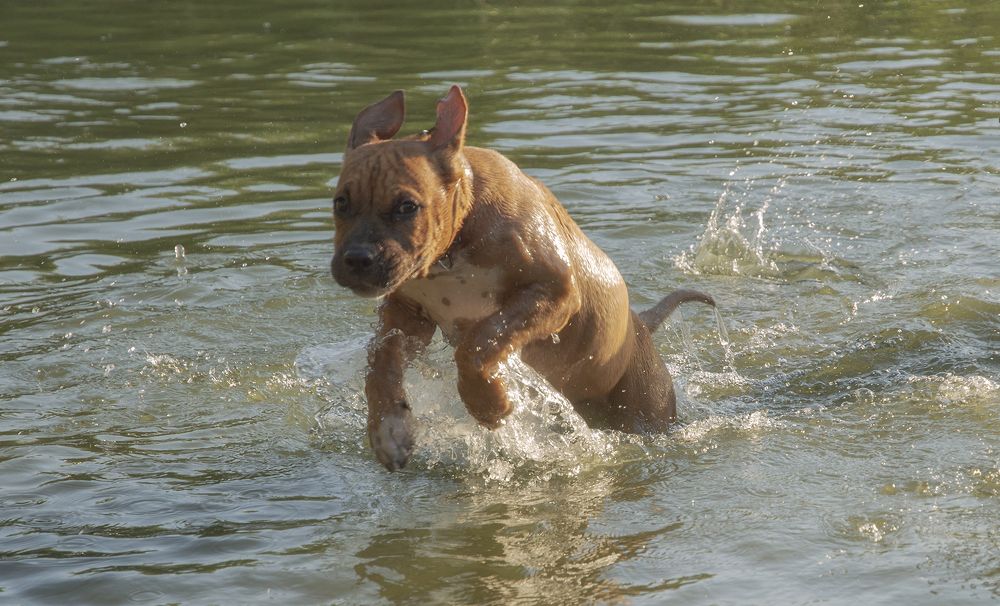 Photograph by Светлана Мельник