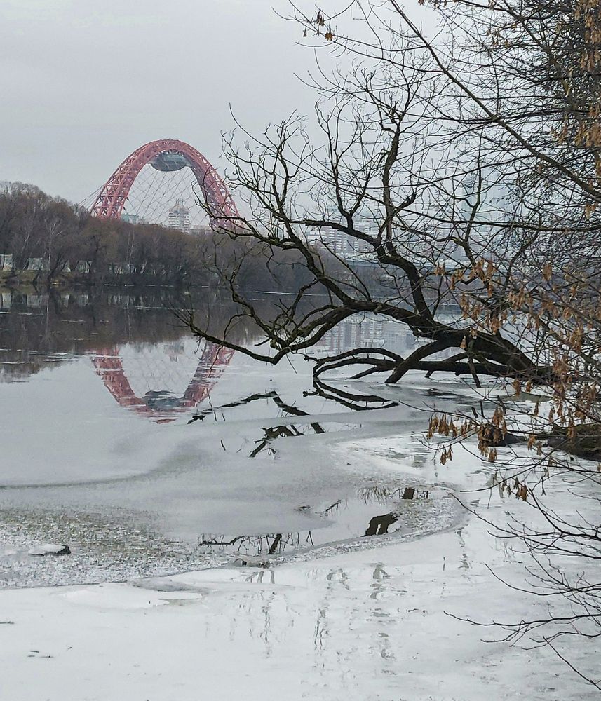 Photograph by Владимир Баулин