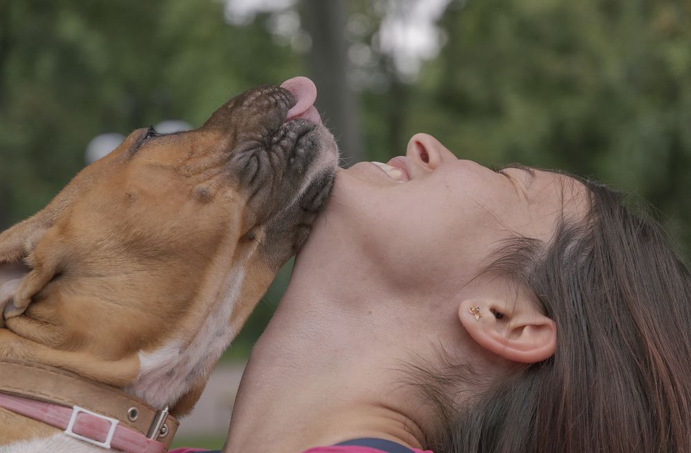 Photograph by Светлана Мельник