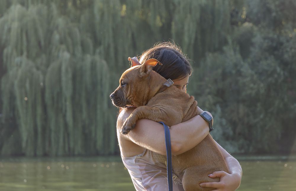 Photograph by Светлана Мельник