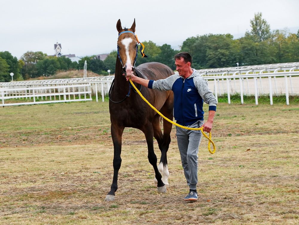 Photograph by Александр