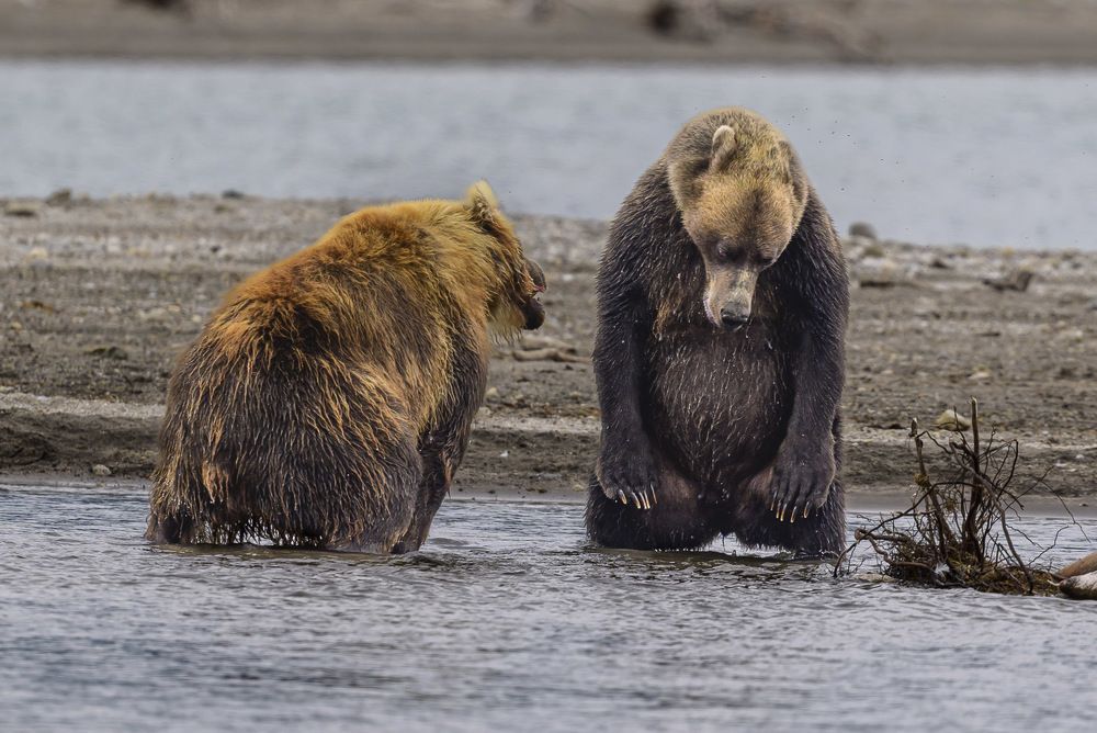 Photograph by Пупонин Сергей