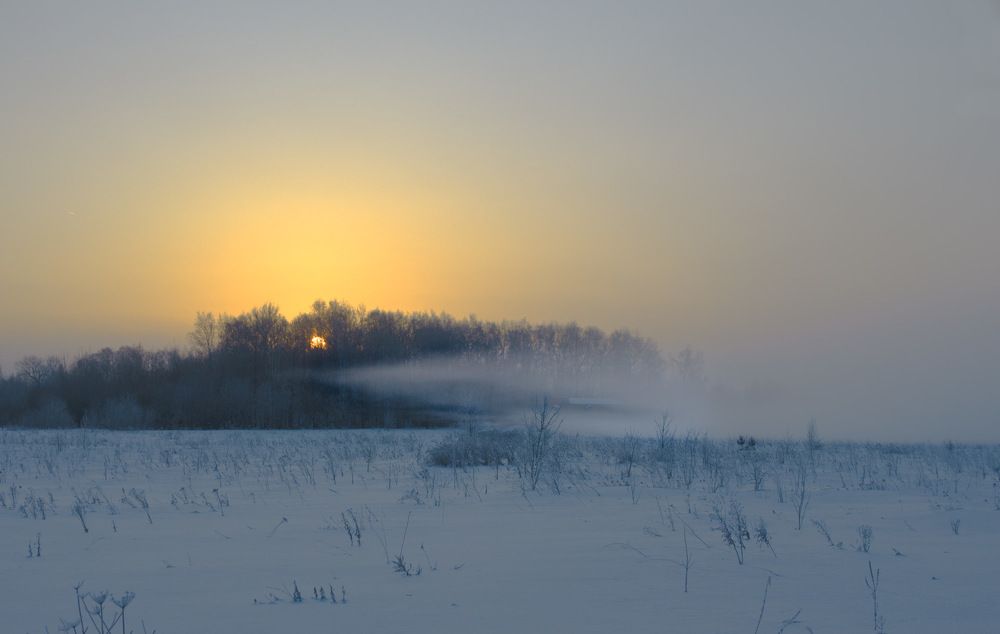 Photograph by 