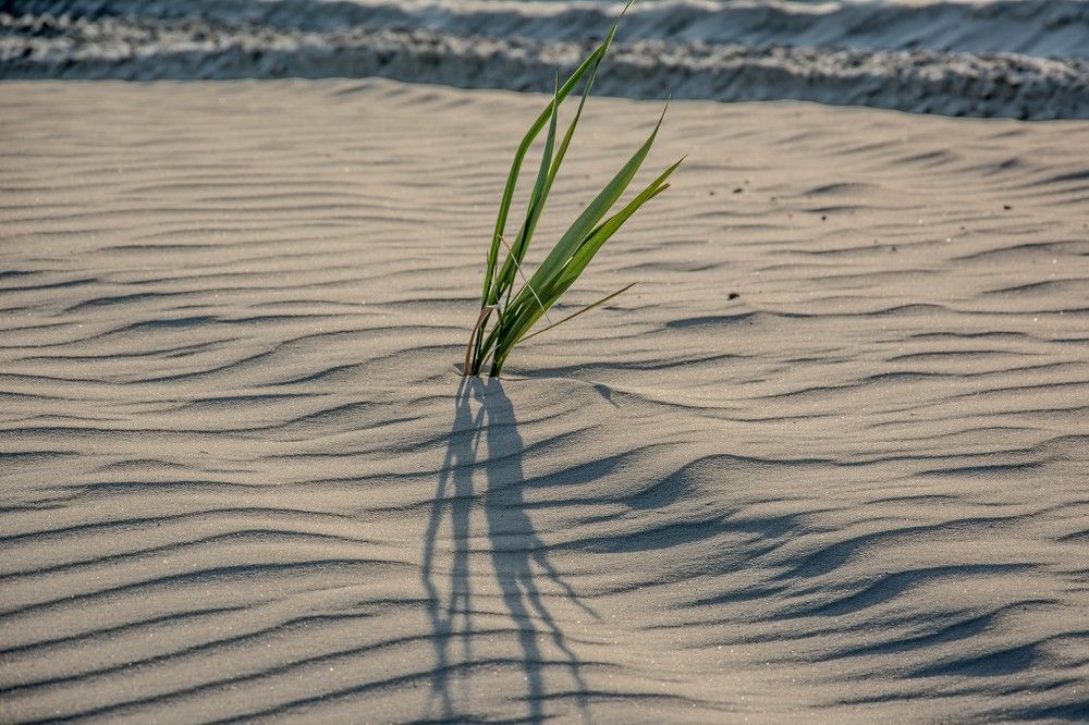 Photograph by Елена Царёва