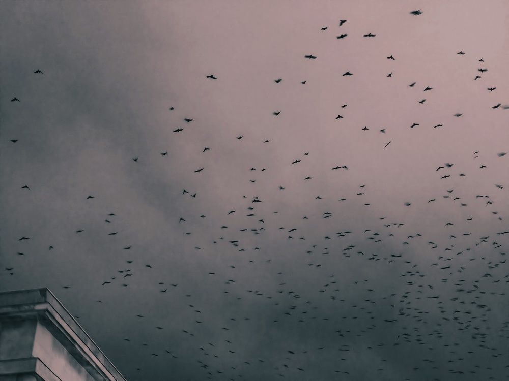 Photograph by Татьяна Соколовская