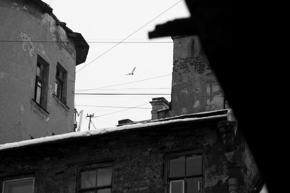 Photograph by Ольга Ходова