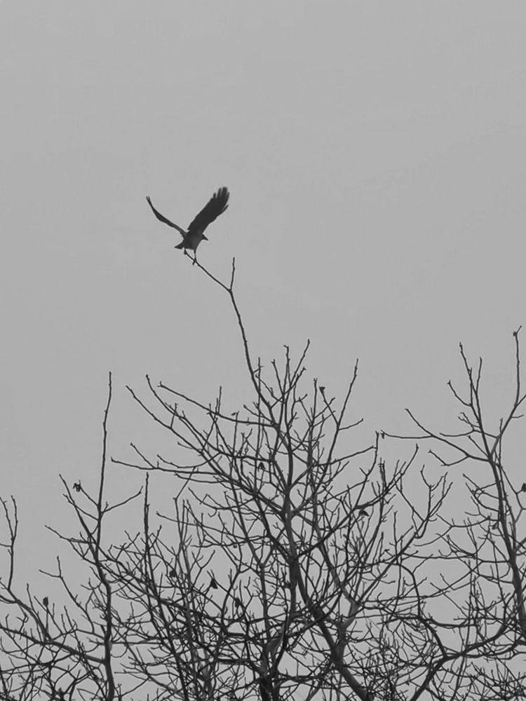 Photograph by Яна Сел