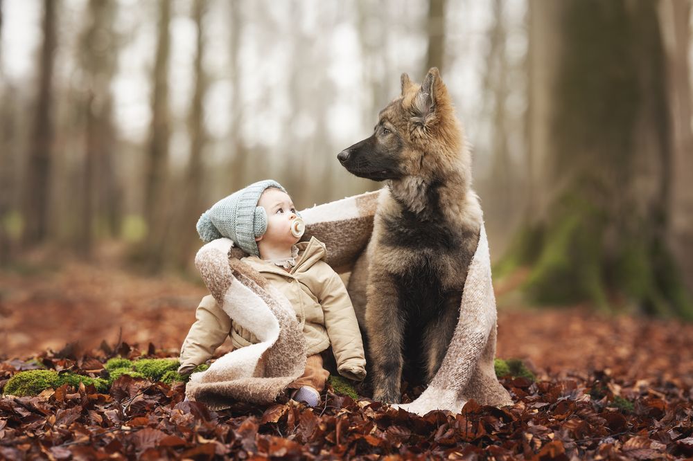 Photograph by Elke Braet