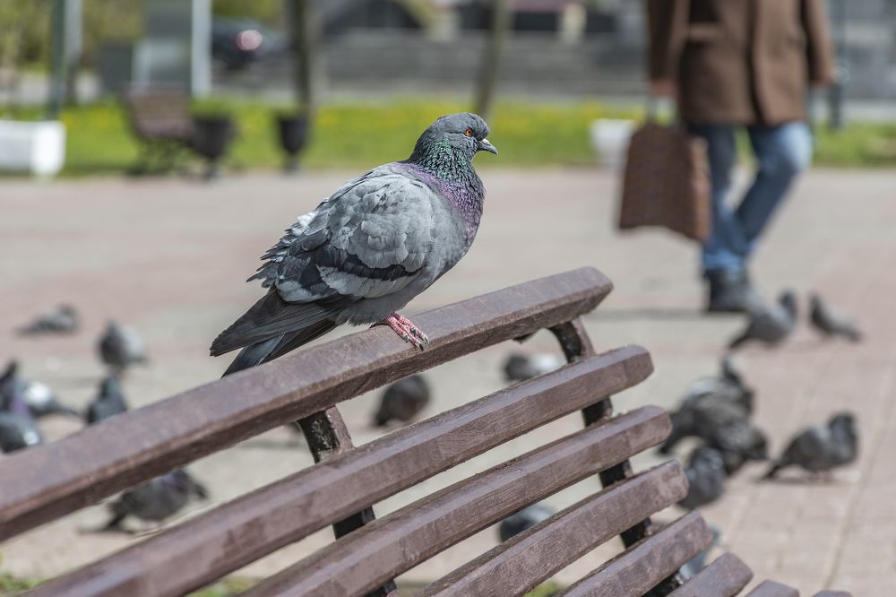 Photograph by Максим Сорокин