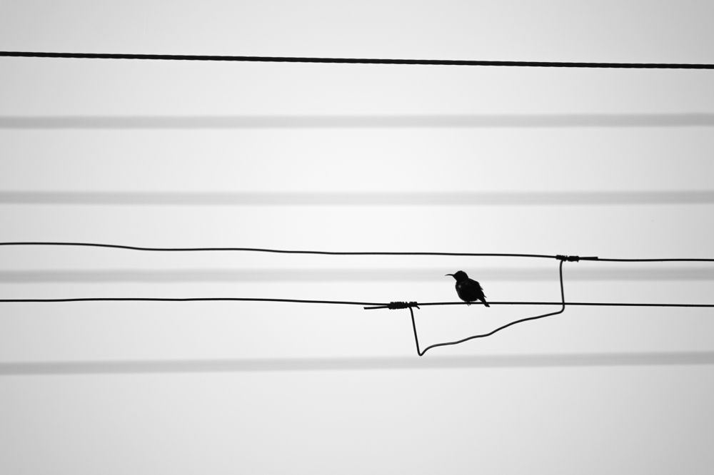 Photograph by Mukesh Kumar Mahato