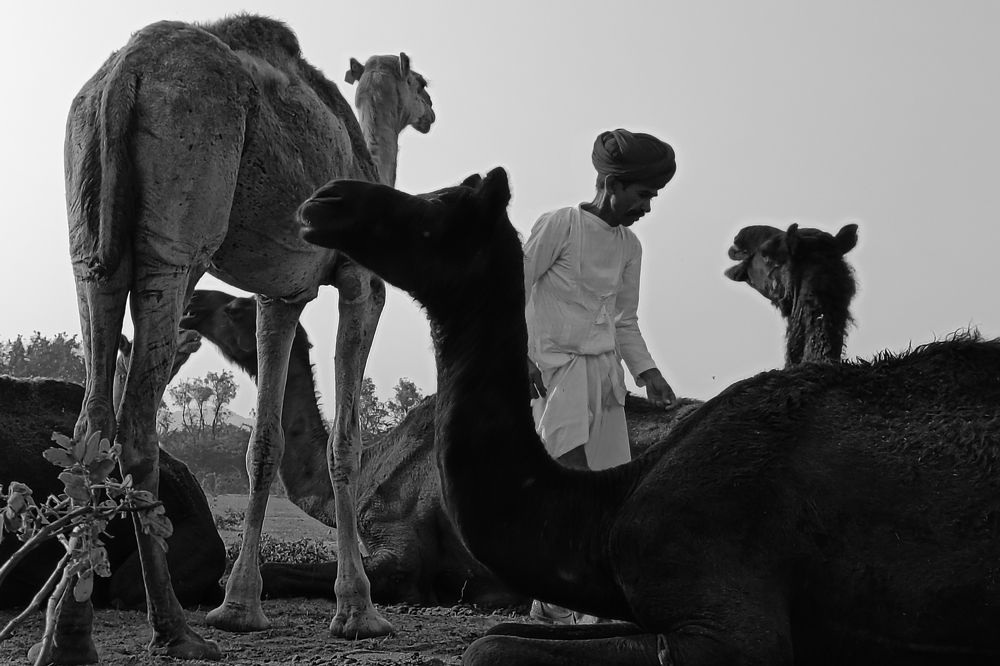 Photograph by Mukesh Kumar Mahato
