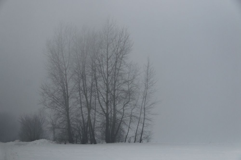 Фотография автора Потоцкий Вячеслав