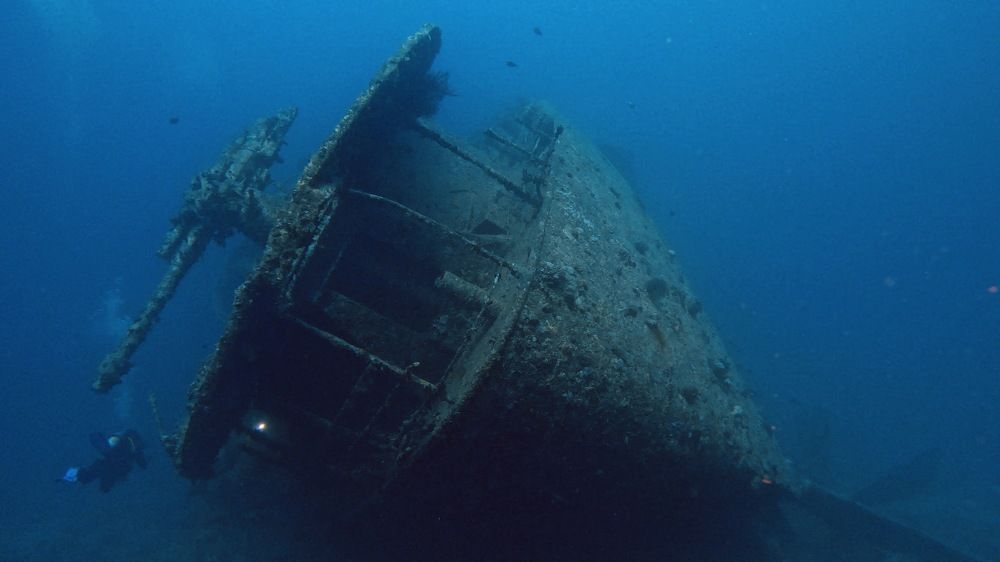 Photograph by Мария Берёзка